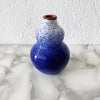 Spray Collection - Mini Gourd Vase