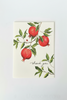 Greeting card - Thank you Cards * Assorted