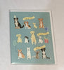 Birthday Card * Assorted