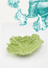 Laboratorio d’Estorias - Lettuce leaf
