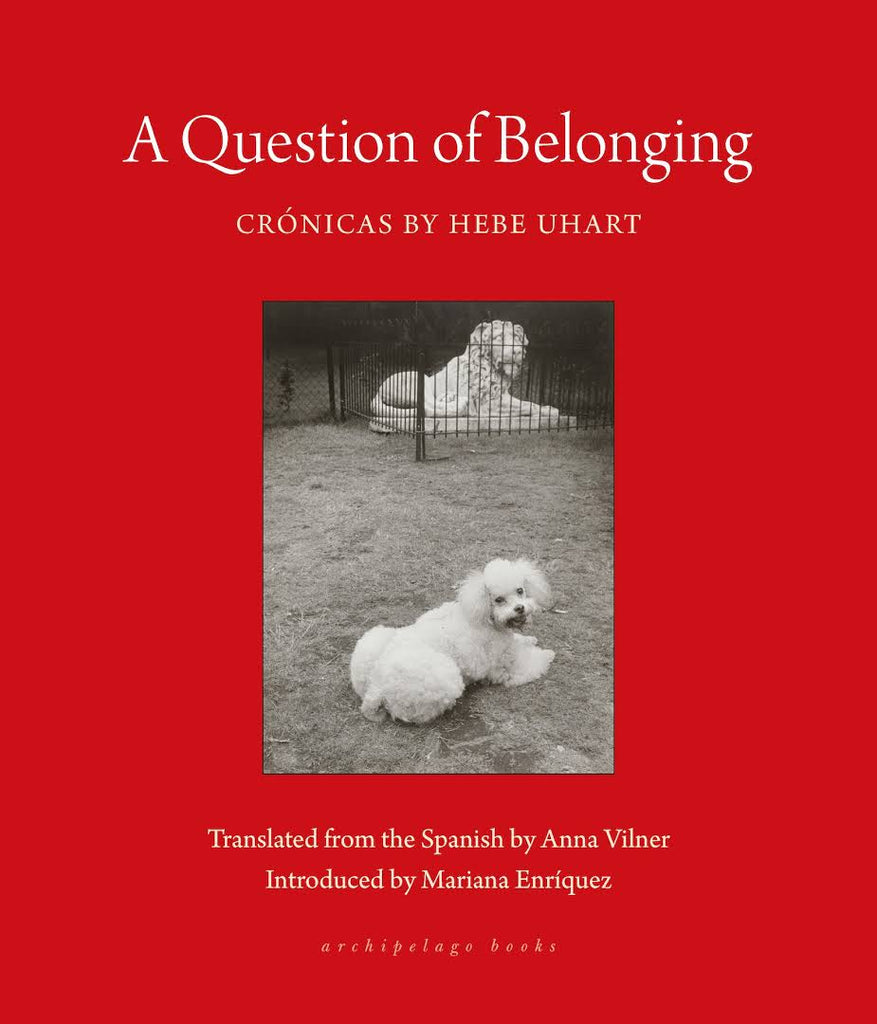 A Question of Belonging by Hebe Uhart