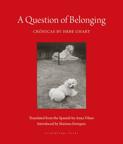 A Question of Belonging by Hebe Uhart