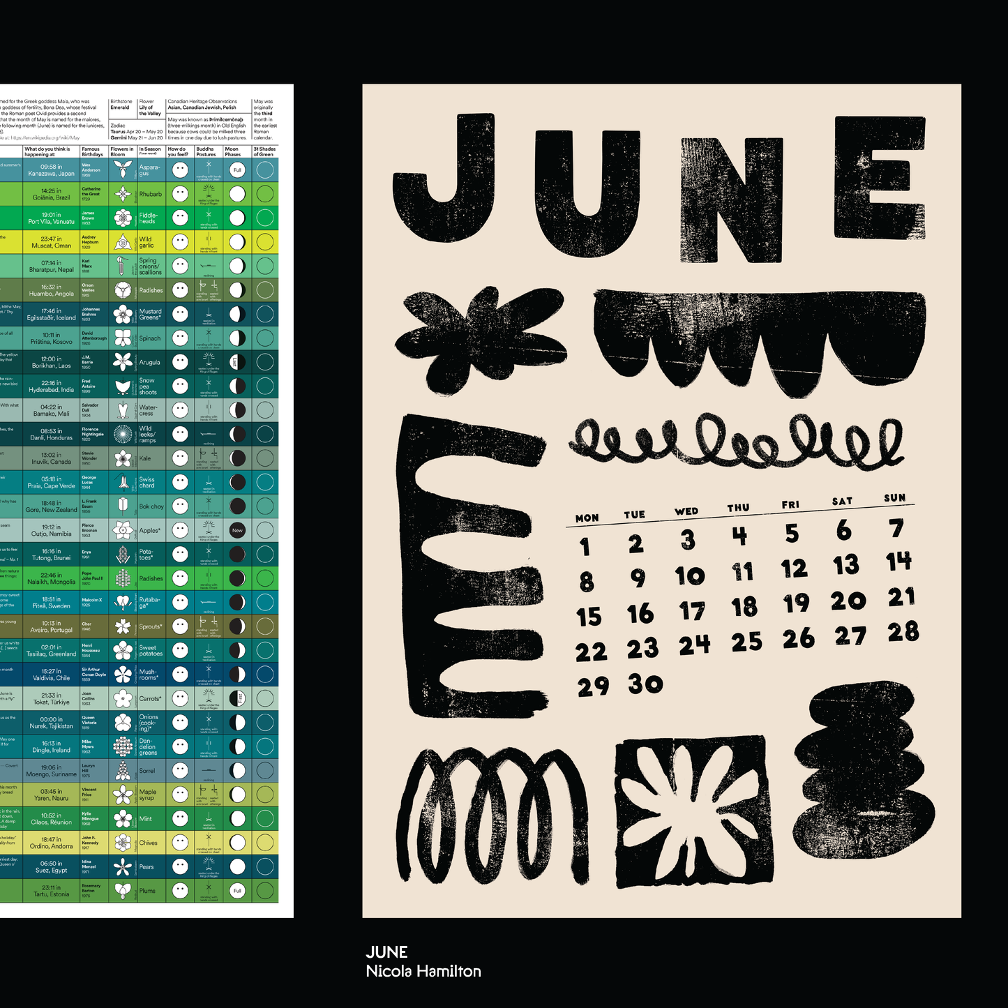Ana Rita Morais - 2026 Wall Calendar