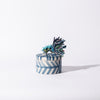 Anna Westerlund - Blue Textured medium box