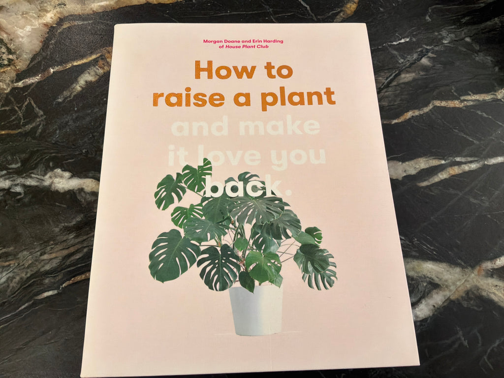 How to Raise a Plant