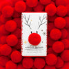 Winter Fun - Holiday Soaps *